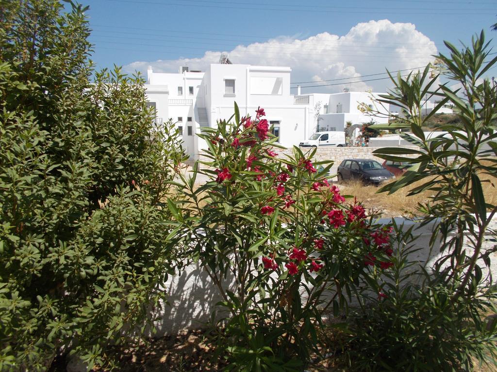 Astoria Apartments Paros Island Bagian luar foto